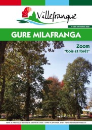 Villefranque - Zoom : 